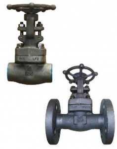 2-valvedomain-forged-steel-gate-web