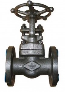 2-valvedomain-forged-steel-globe-web